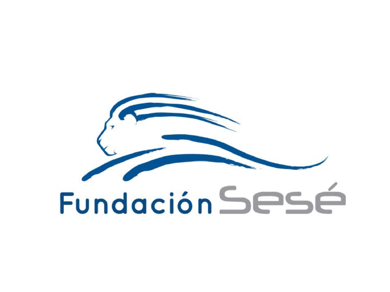 Logo de fundacionsese