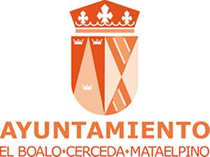 Logo de bocema