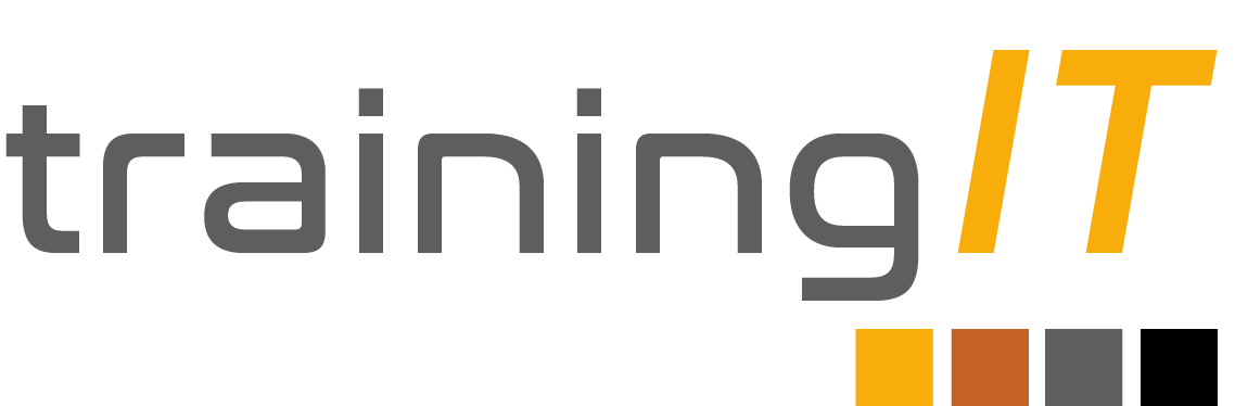 Logo de trainingit