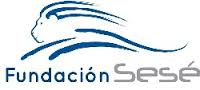 logo de FUNDACION SESE